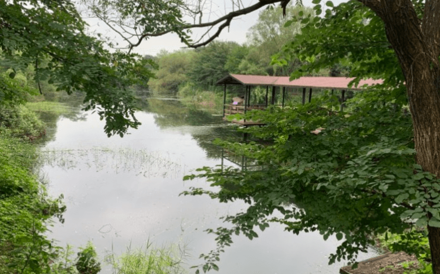 경기-포천-레이크문캠핑장-사진-입니다.