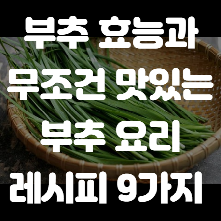 부추 효능