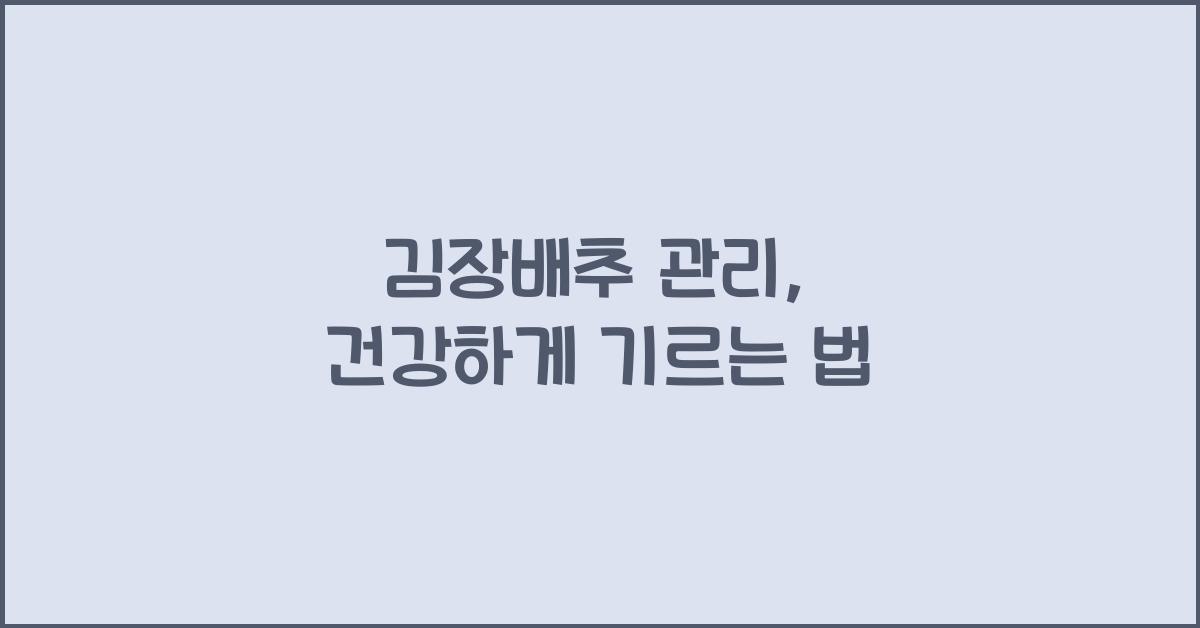 김장배추 관리