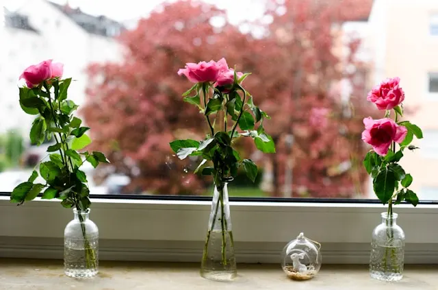 실내 냄새가 무기력감을 만드는 이유|향 환경과 생리 반응 분석