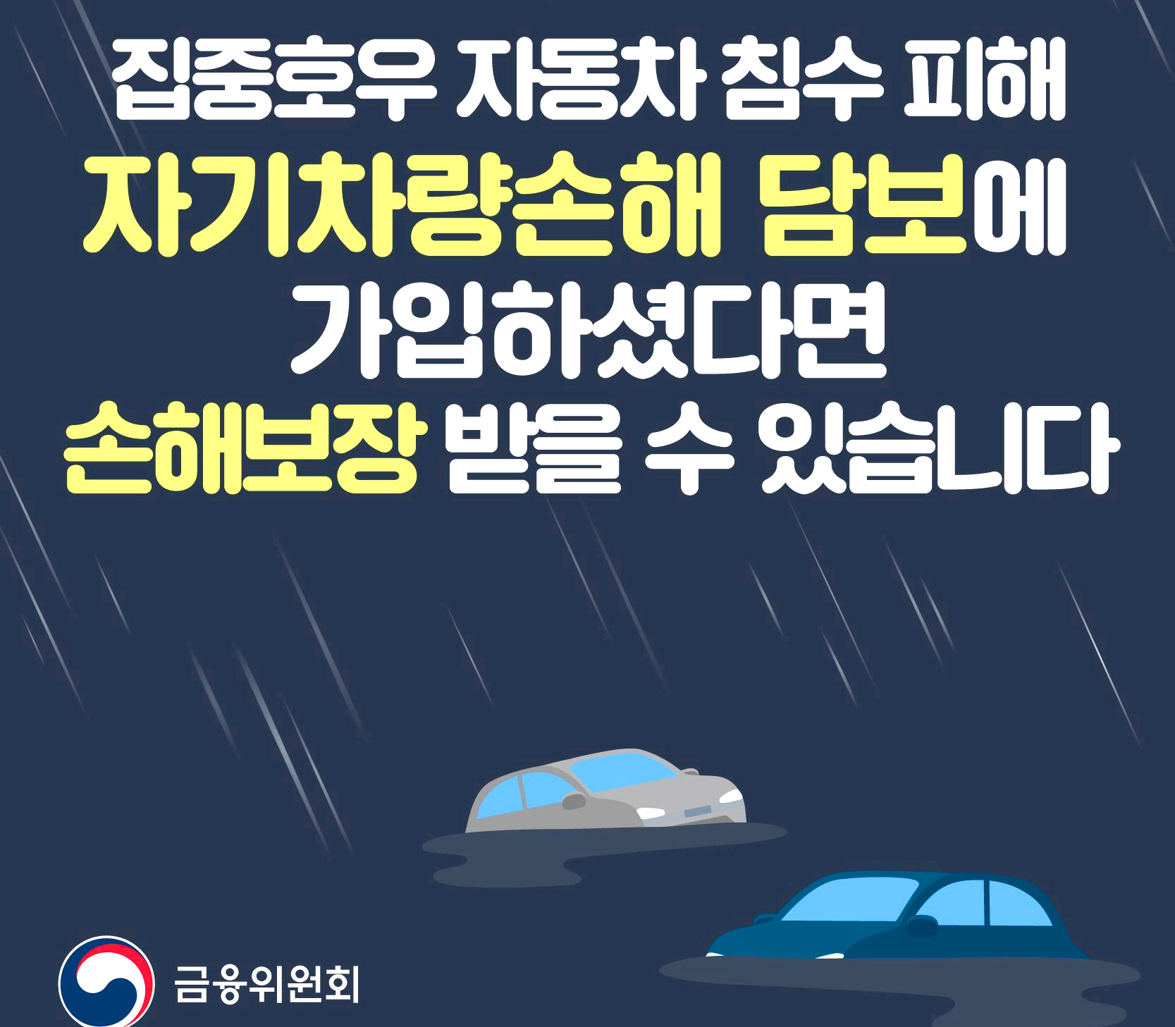 자동차 보험