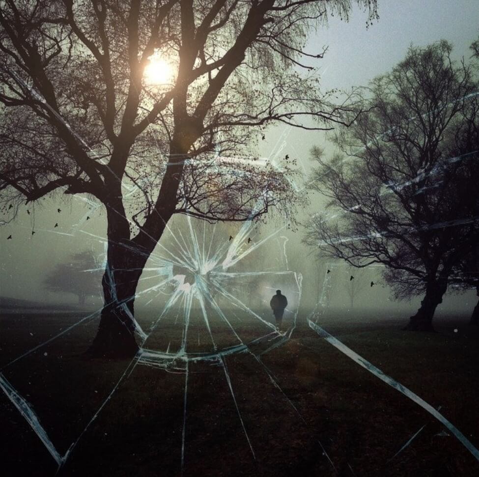 나무 뒤로 태양이 보이고 어두운 그림자를 비춘 사람이 보인다