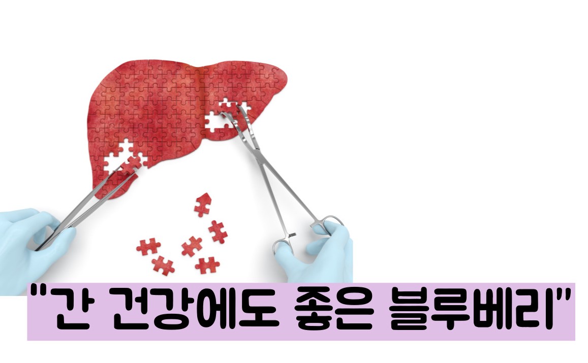 블루베리 효능