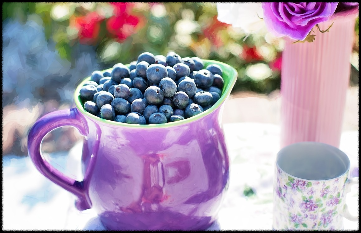 블루베리 효능 이미지_2