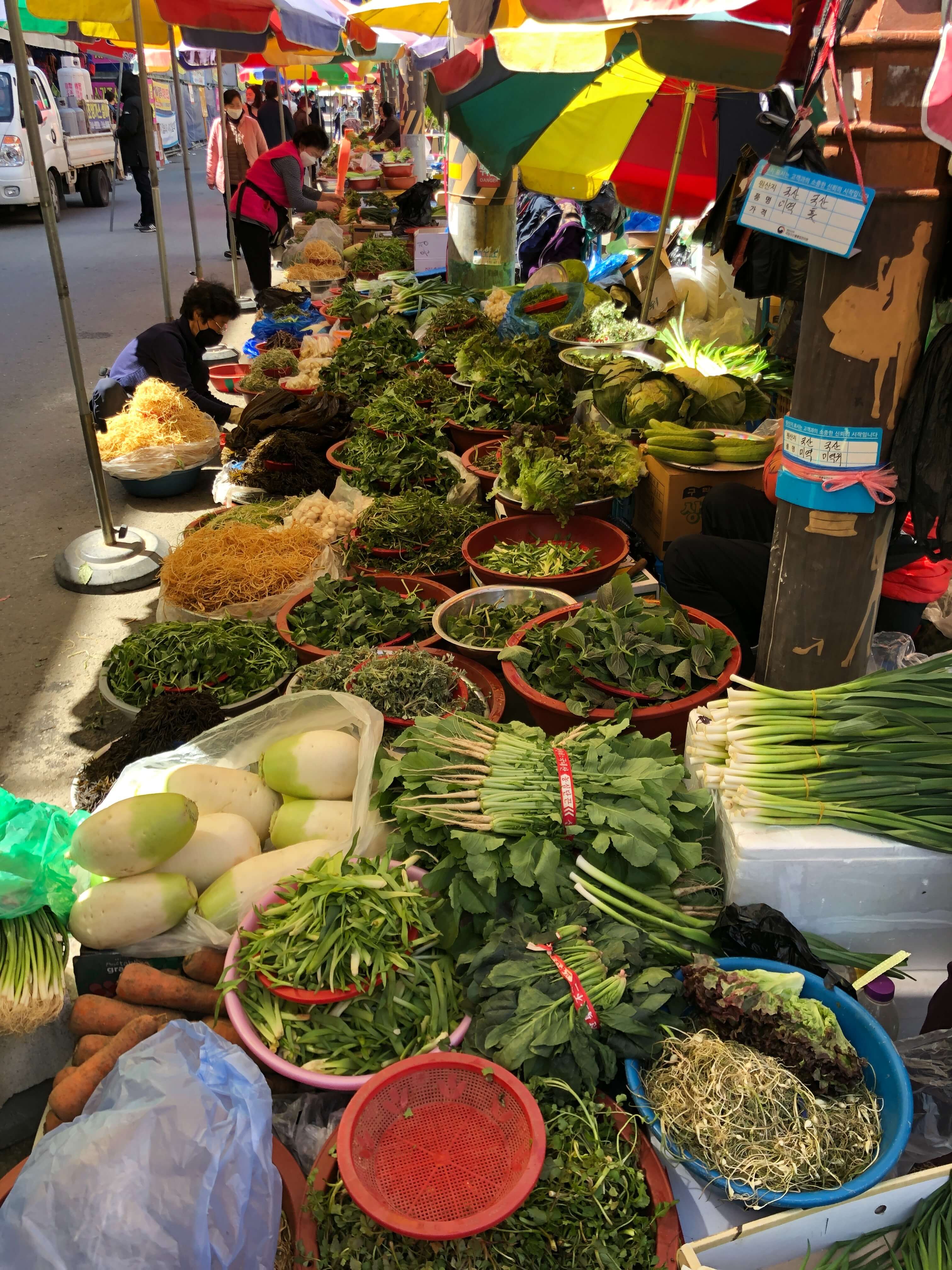 5부제 캘린더로 요일별 신청 일정 빠르게 확인하는 썸네일