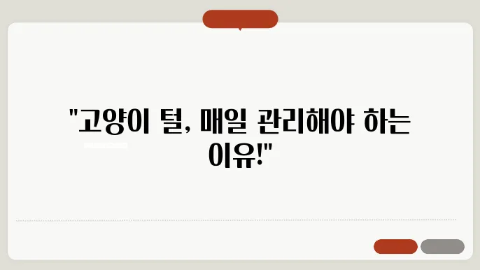 고양이 털 관리 매일해야하는 이유
