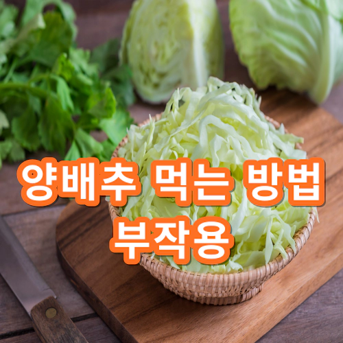 양배추-먹는-방법-양배추-부작용