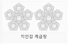 태극 무궁화 (치안감)