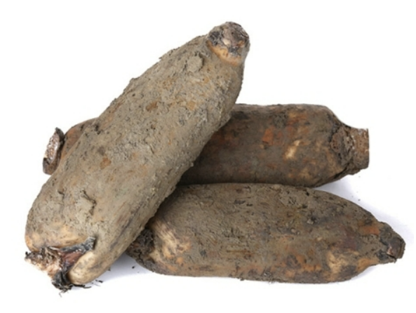 연근 효능 요리종류 보관방법 연근 조림 만드는 방법 총정리