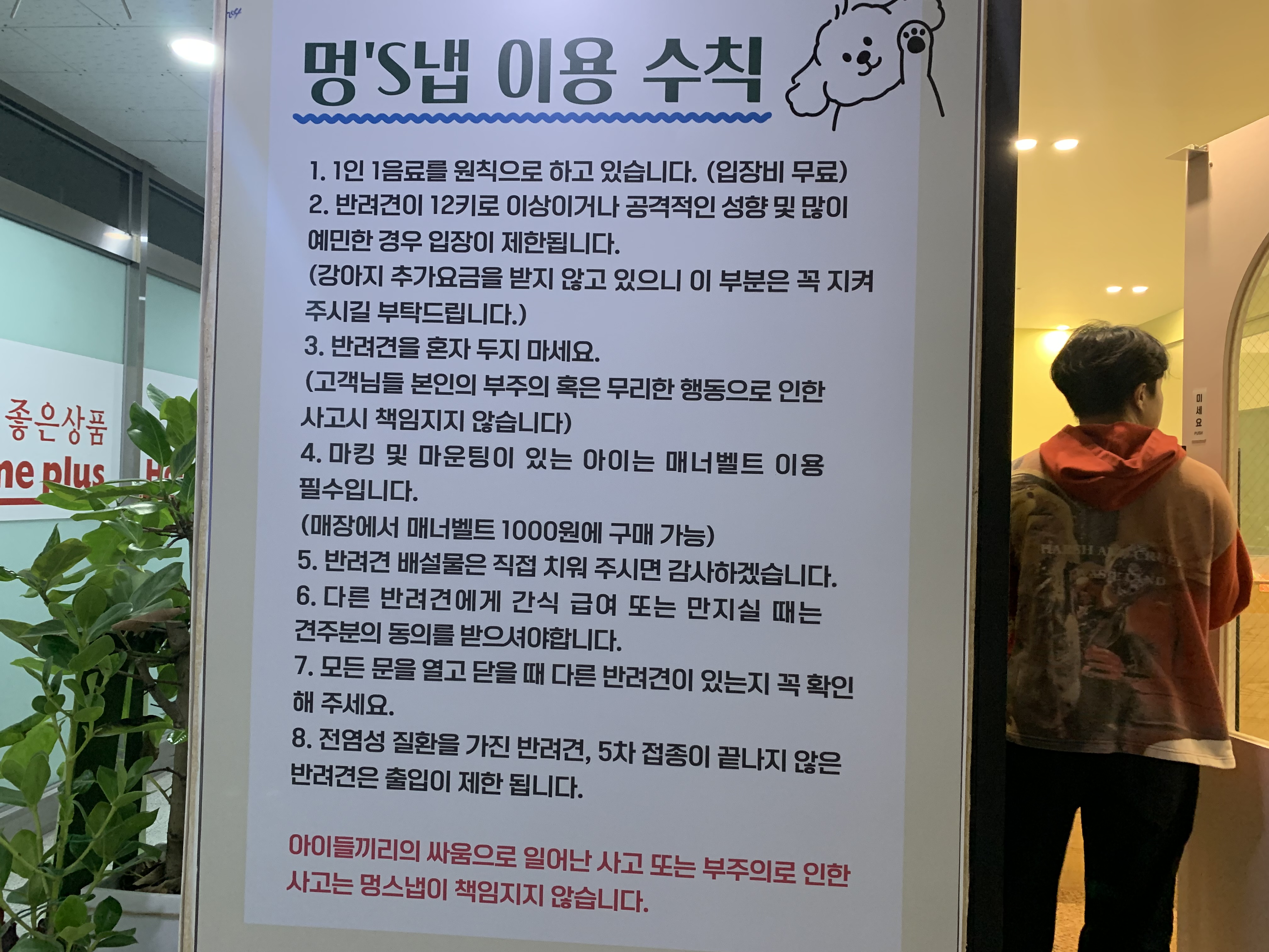 부천 부천시청 애견카페 애견유치원 애견호텔 멍스냅