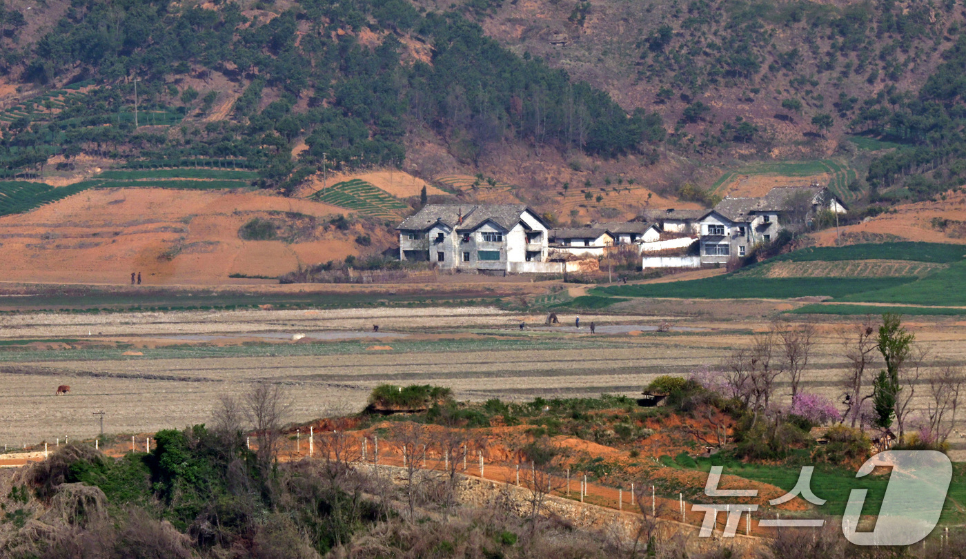 오두산 통일전망대 외국인 관광객 폭증! 북한 조망 카페와 DMZ 평화열차 총정리
