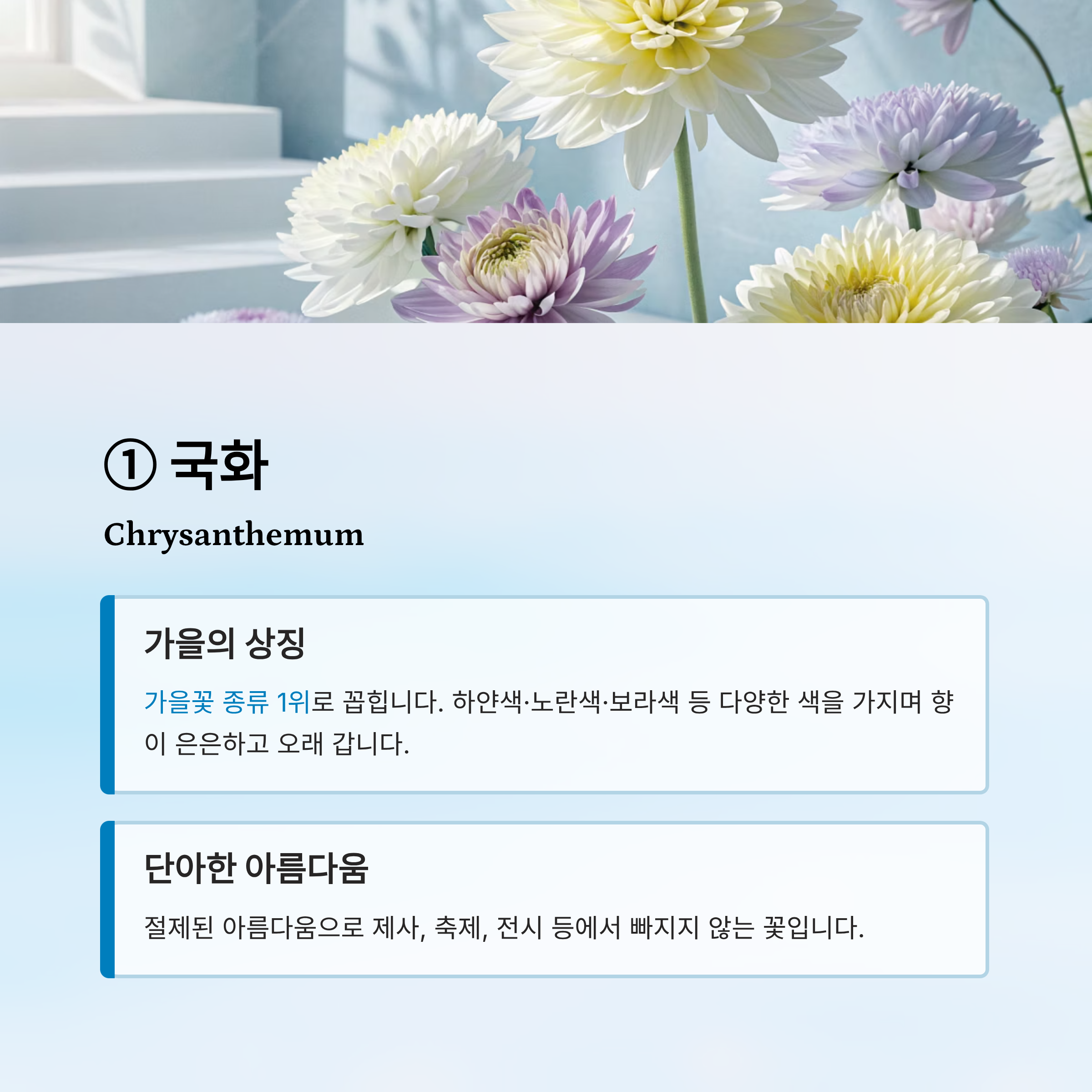 가을꽃 종류 알아보기