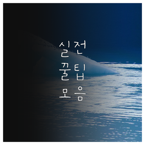 2025 안양시 시민안전보험 보장 내..