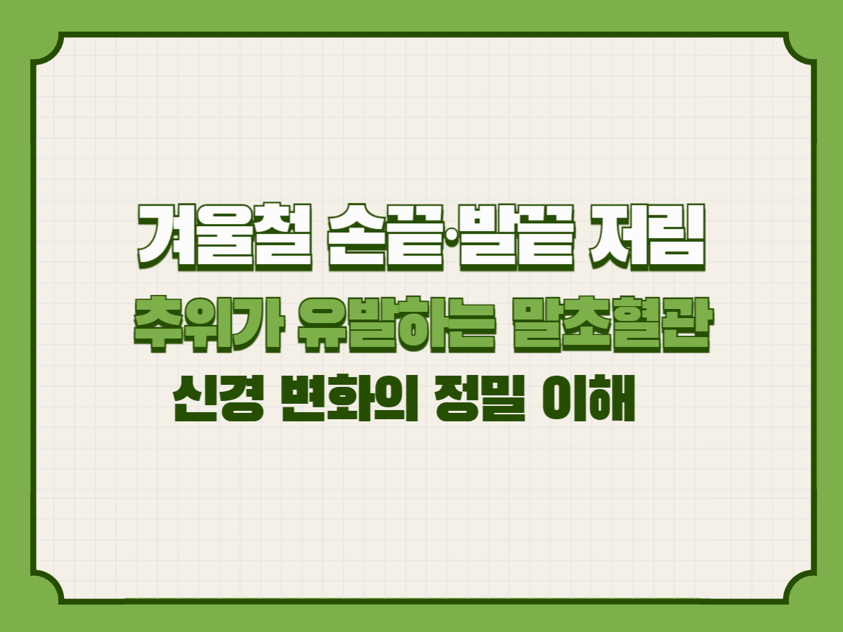 겨울철 손끝·발끝 저림 — 추위가 유발하는 말초혈관·신경 변화의 정밀 이해