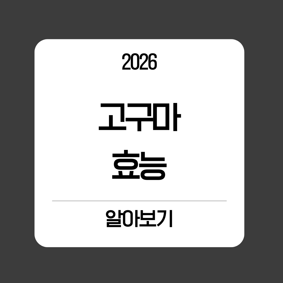 고구마 효능, 알고 보니 '완전식품'이었다? 종류별·조리법별 가이드
