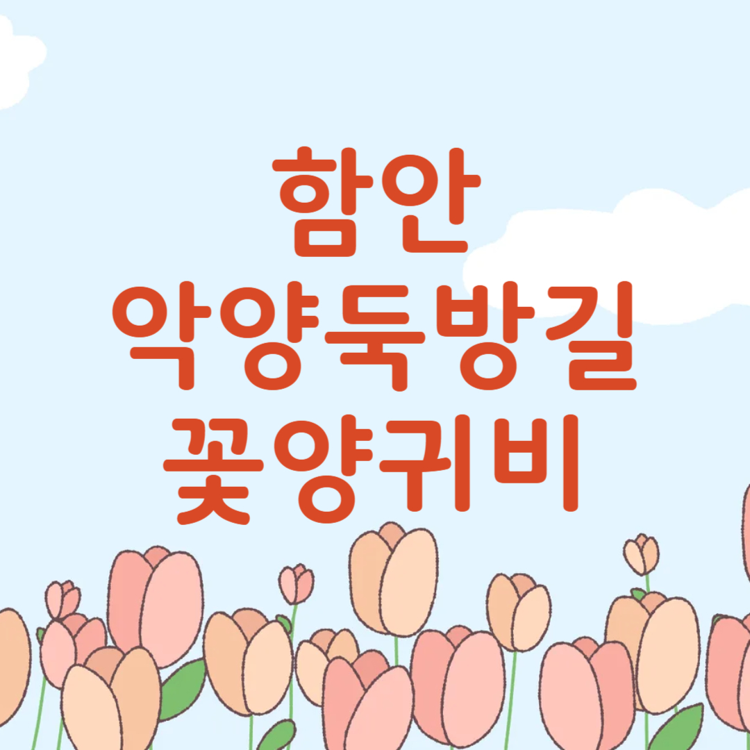 함안 악양둑방길 양귀비꽃