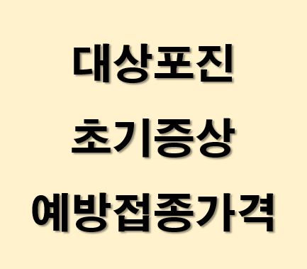 대상포진-초기증상-예방접종가격