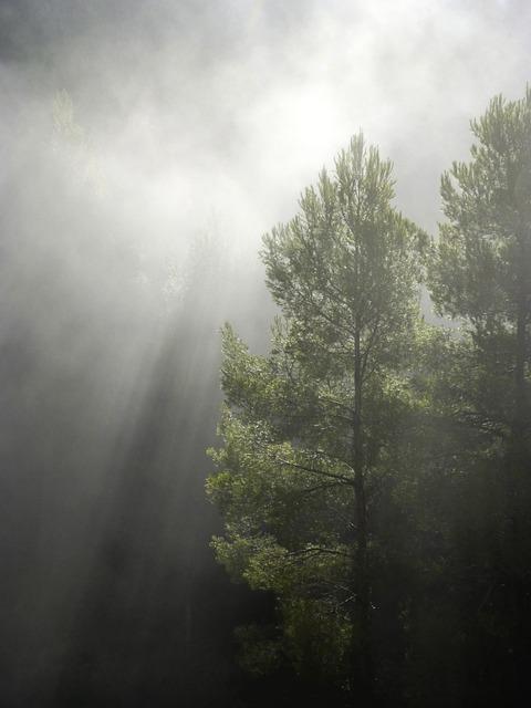 blog-image