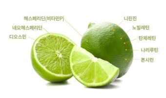 깔라만시 효능 9가지와 부작용 및 깔라만시 원액 먹는법