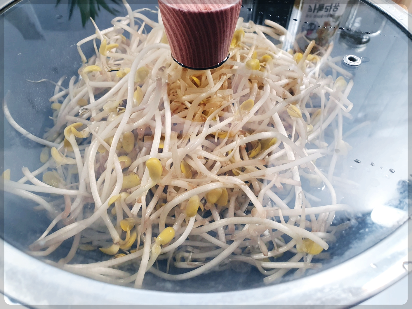 백종원 콩나물 무침 맛있게 만드는법 
