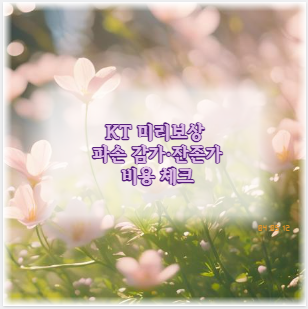 KT 미리보상 파손 감가&middot;잔존가 비용 체크