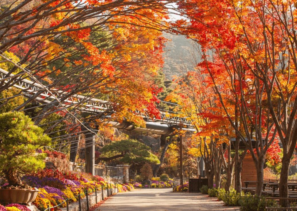 화담숲-단풍-절정시기