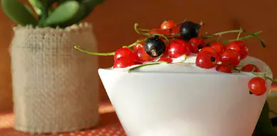 면역력을-높이는-방법-면역력에-좋은-음식-건강