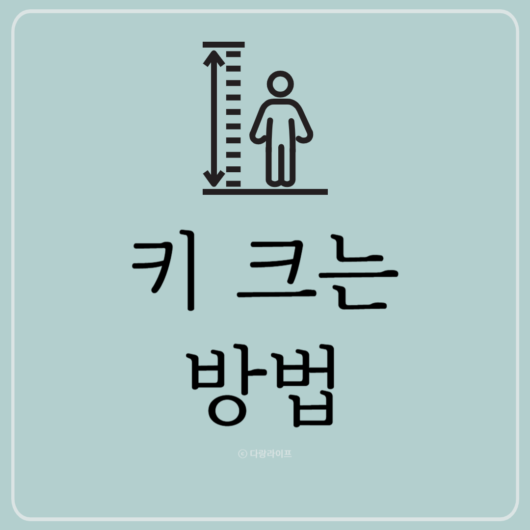 키크는법 키크는방법 키커지는법