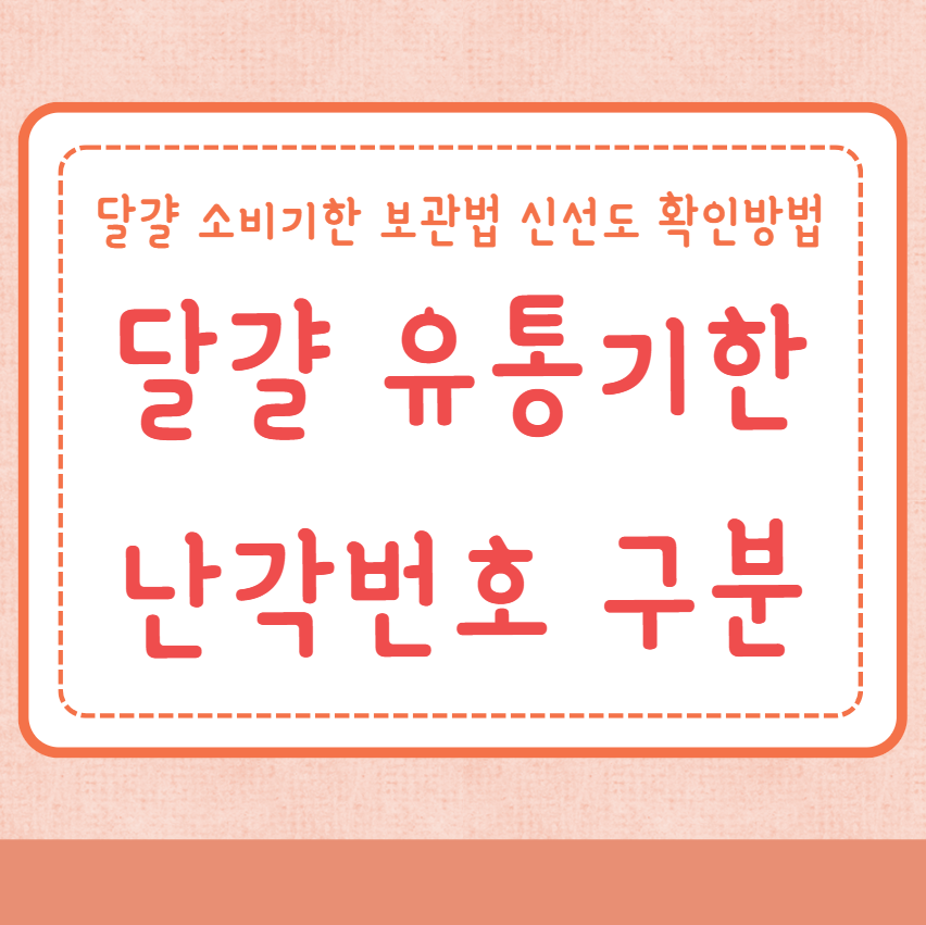 달걀 유통기한 소비기한 난각번호 구분