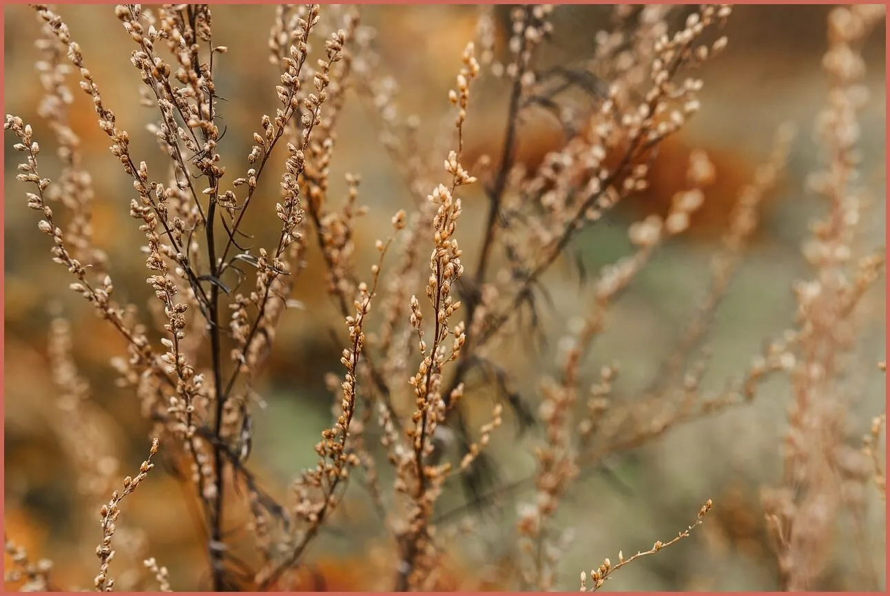 정기예금 금리 가장 높은곳
