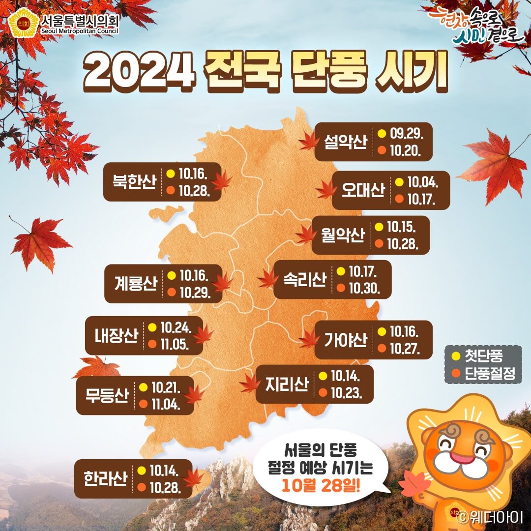 2024 단풍 절정 시기