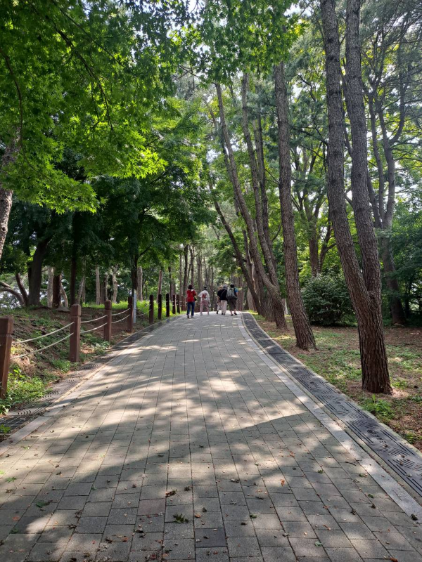 광성보 오르막길