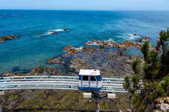 울진 가볼만한곳 베스트10 현지인 추천 필수코스_8