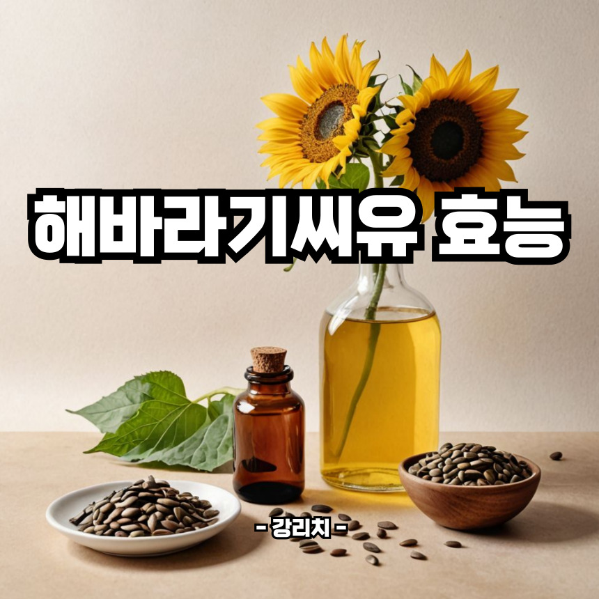 해바라기씨유의 효능