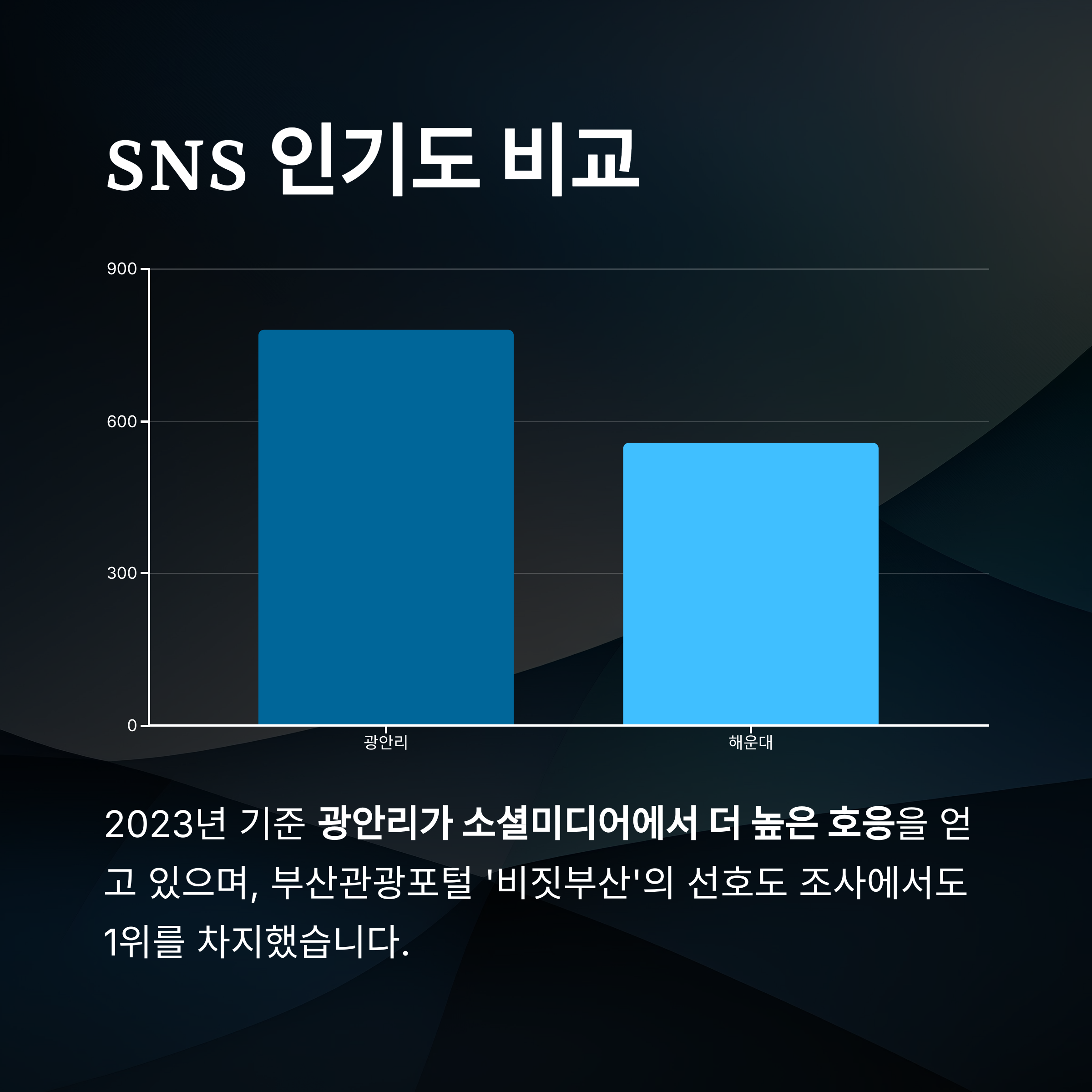 SNS 인기도