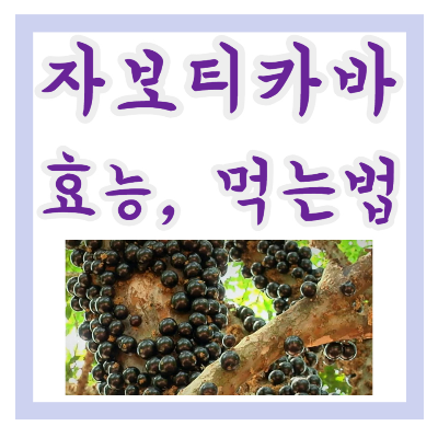 자보티카바