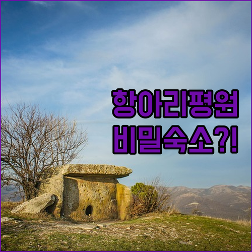 라오스 항아리 평원의 비밀을 여는 시..