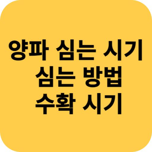 양파 심는 시기 심는 방법 수확 시기
