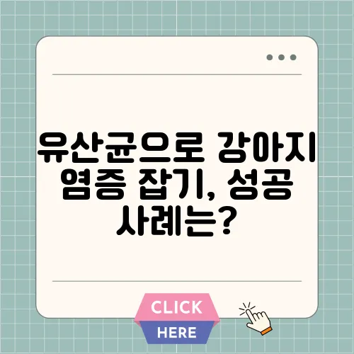 유산균으로 강아지 염증 잡기, 성공 사례는?