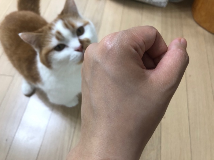 가성비화장품