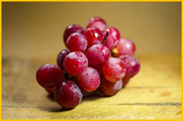 여름 제철과일 포도의 효능 5가지 알려드립니다.