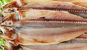 강원도 속초관광수산시장(중앙시장) 먹거리 맛집 영업시간 주차 방법 총정리