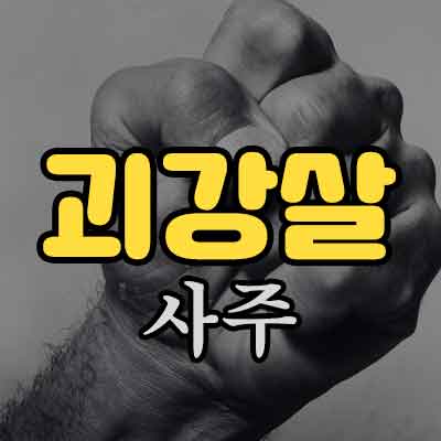 괴강살 사주