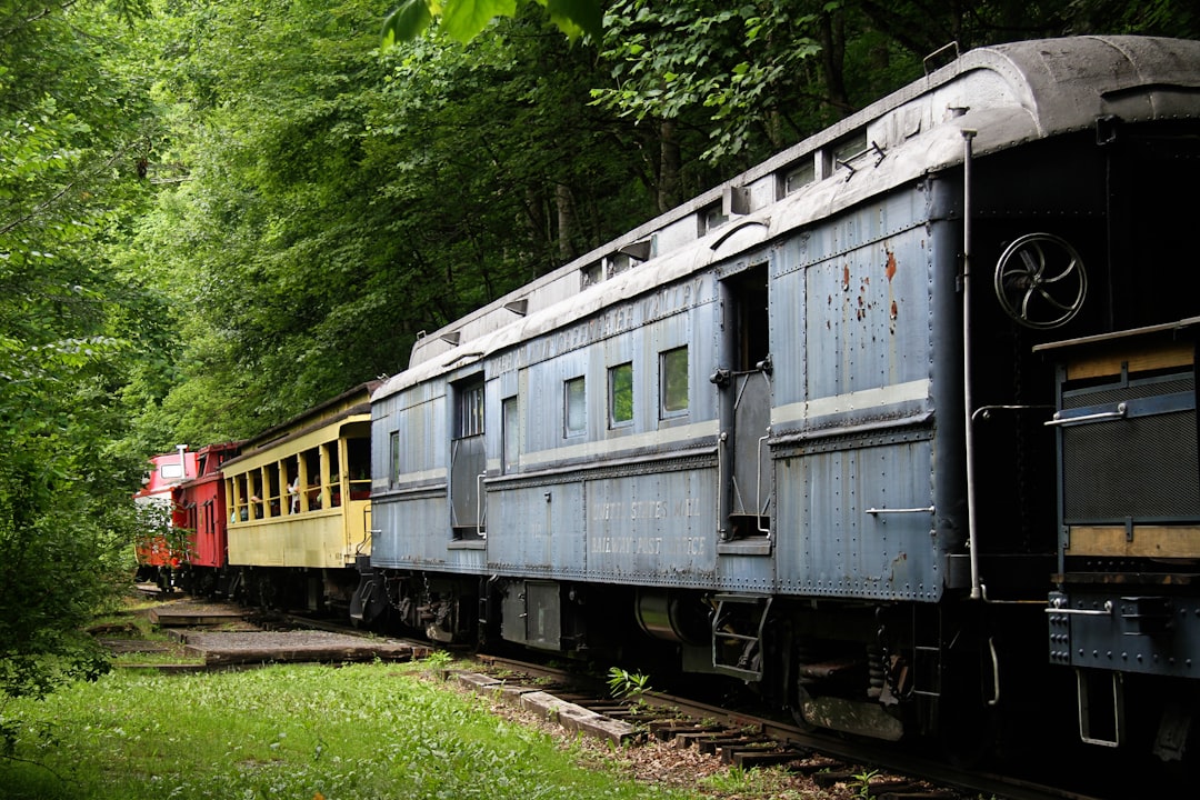 'Train'