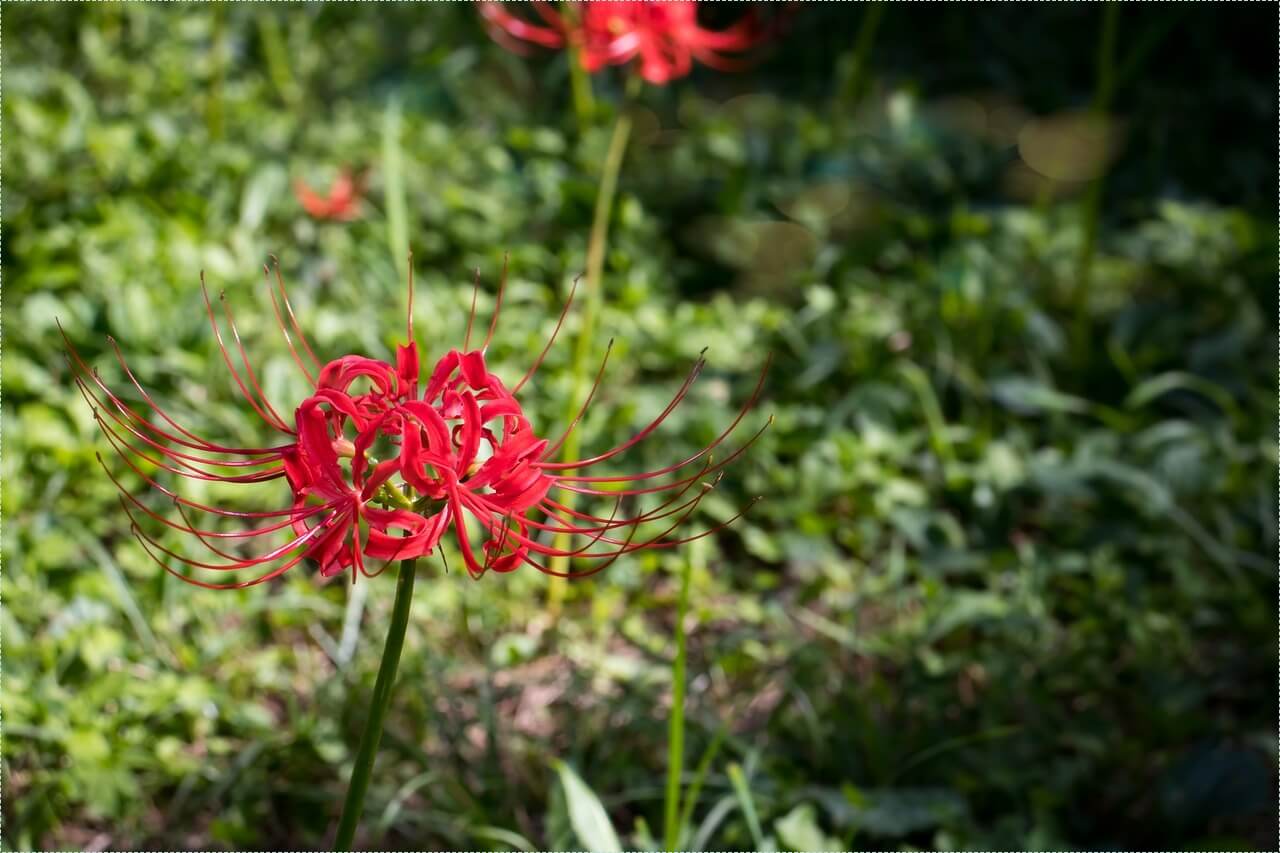 우리은행 정기예금 금리