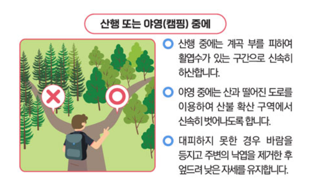 대구 산불 상황 실시간 CCTV
