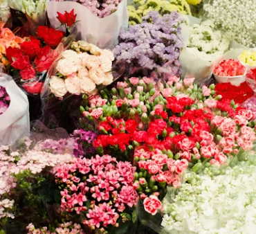 꽃집 창업에 대하여 알아보기