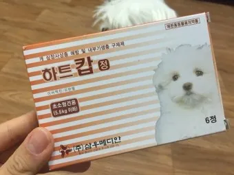 심장사상충약 복용 시기 가격 강아지 고양이 직구 부작용_10