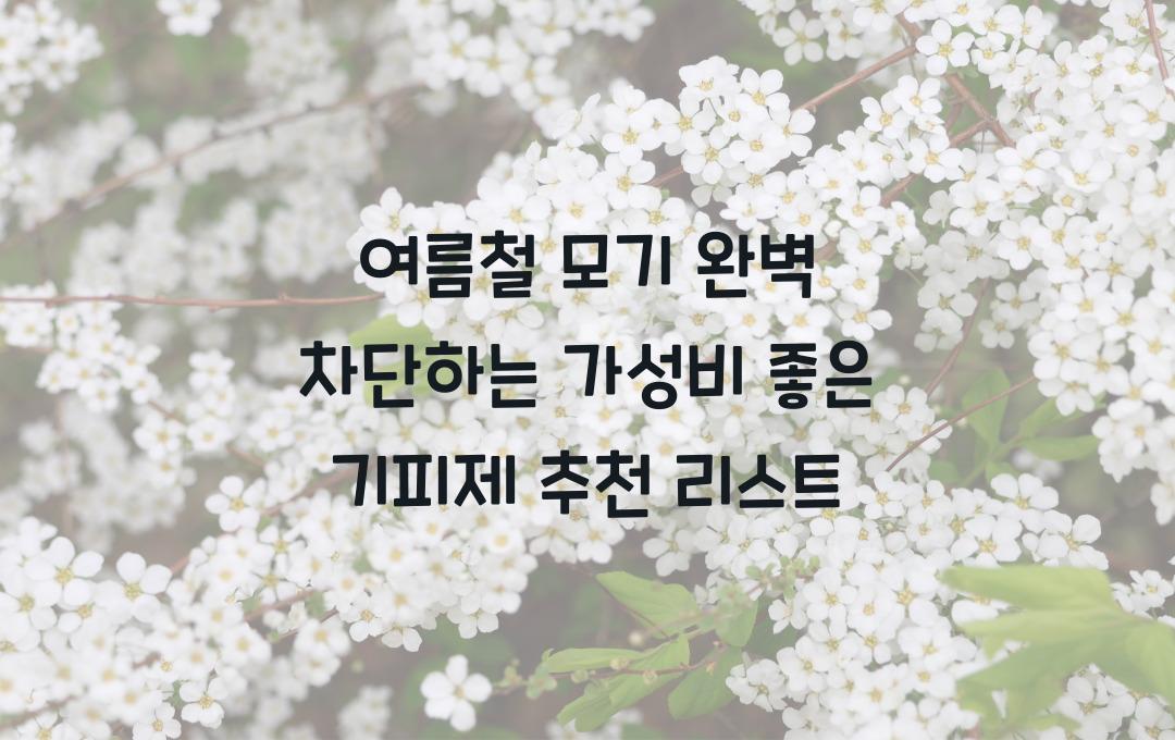 여름철 모기 완벽 차단하는 가성비 좋은 기피제 추천