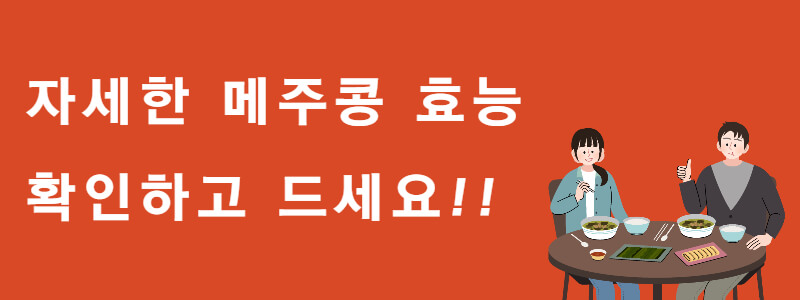 메주콩 효능